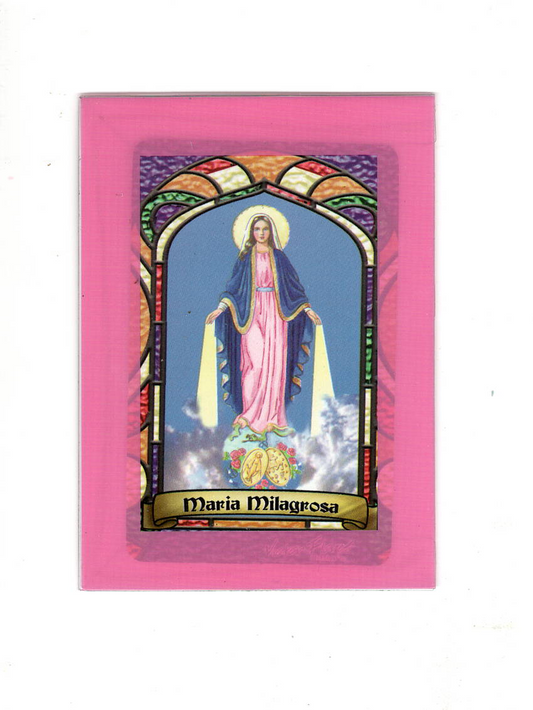 Miraculous Lady Prayer Card / Estampa de la Virgen de la Medalla Milagrosa