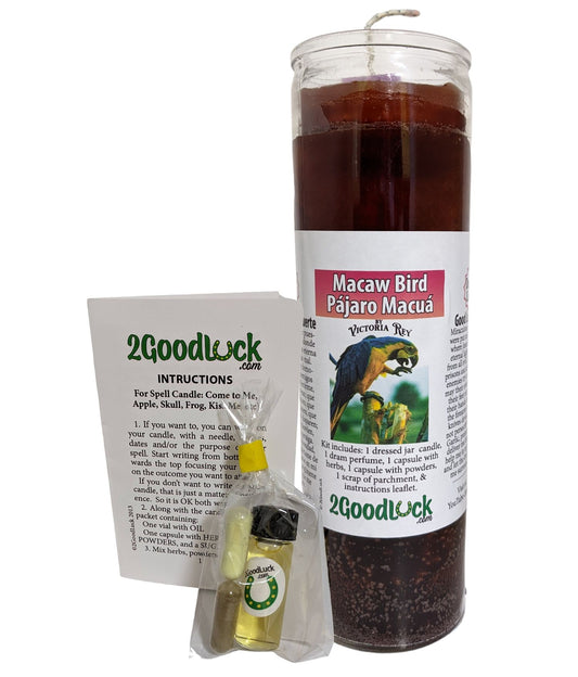 Macaw Bird Dressed Candle Kit - Pajaro Macua