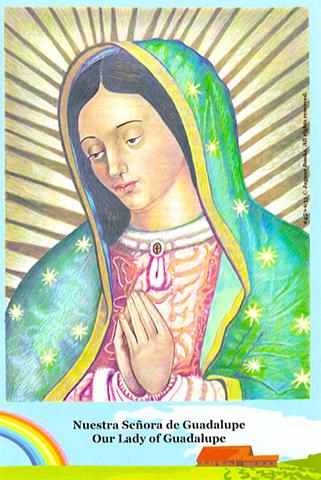 Set of Six Our Lady of Guadalupe Postcards - Set de 6 Postales de la Virgen de Guadalupe