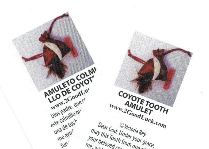Coyote Tooth Talisman Amulet Kit | Amuleto Colmillo de Coyote Kit